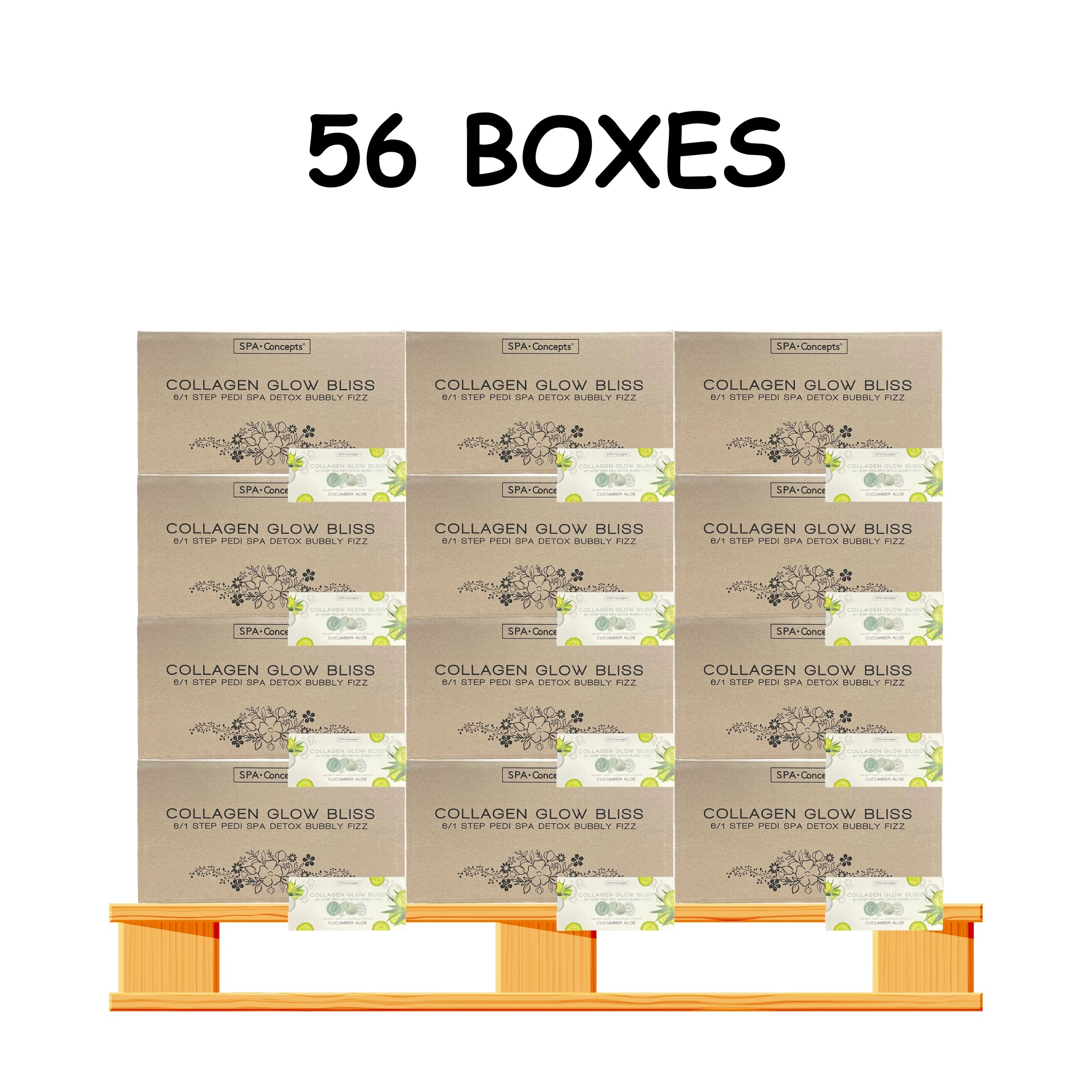 Spa Concept 6 Step Pedicure 48/Case - 56/Case per PALLET (W2)