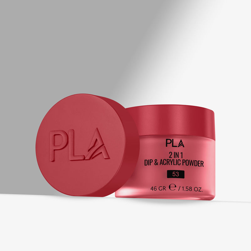 PLA 53 Not In Kansas Anymore - Dip Powder
