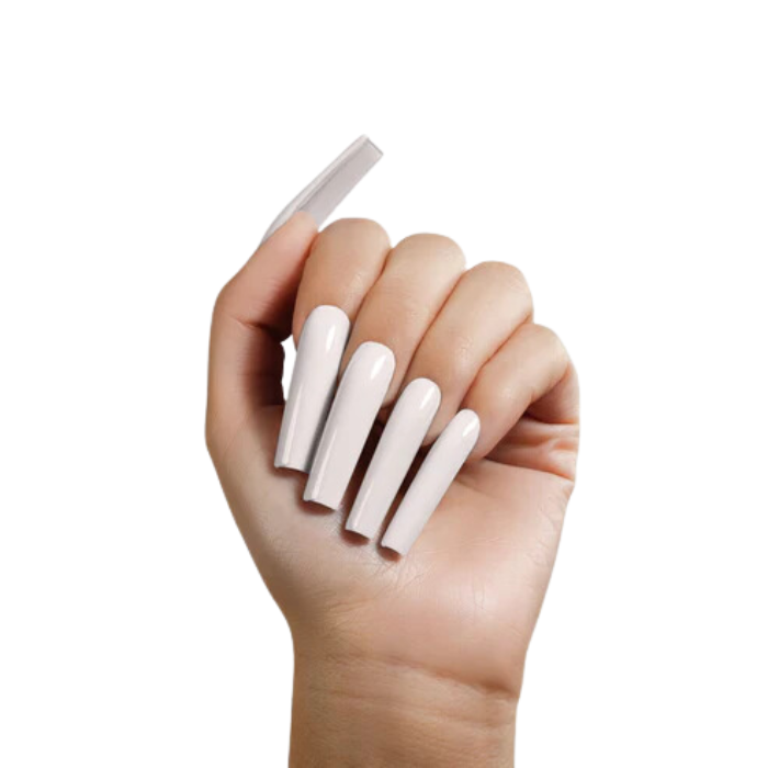 Chaun legend acrylic essentials - something special a401