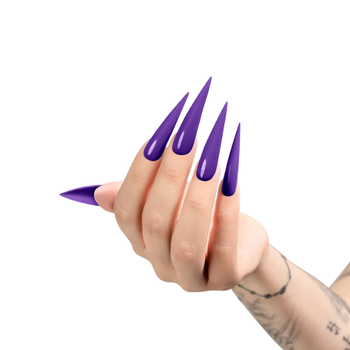 Chaun legend gel - huckleberry lg5074 - gel polish