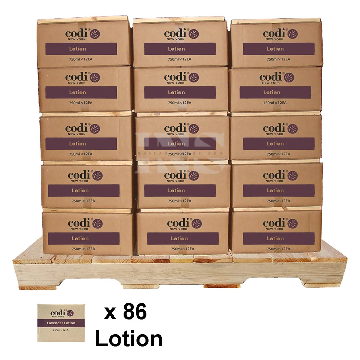 CODI 25oz Lotion 12/Case - 86/Case per PALLET (W2)