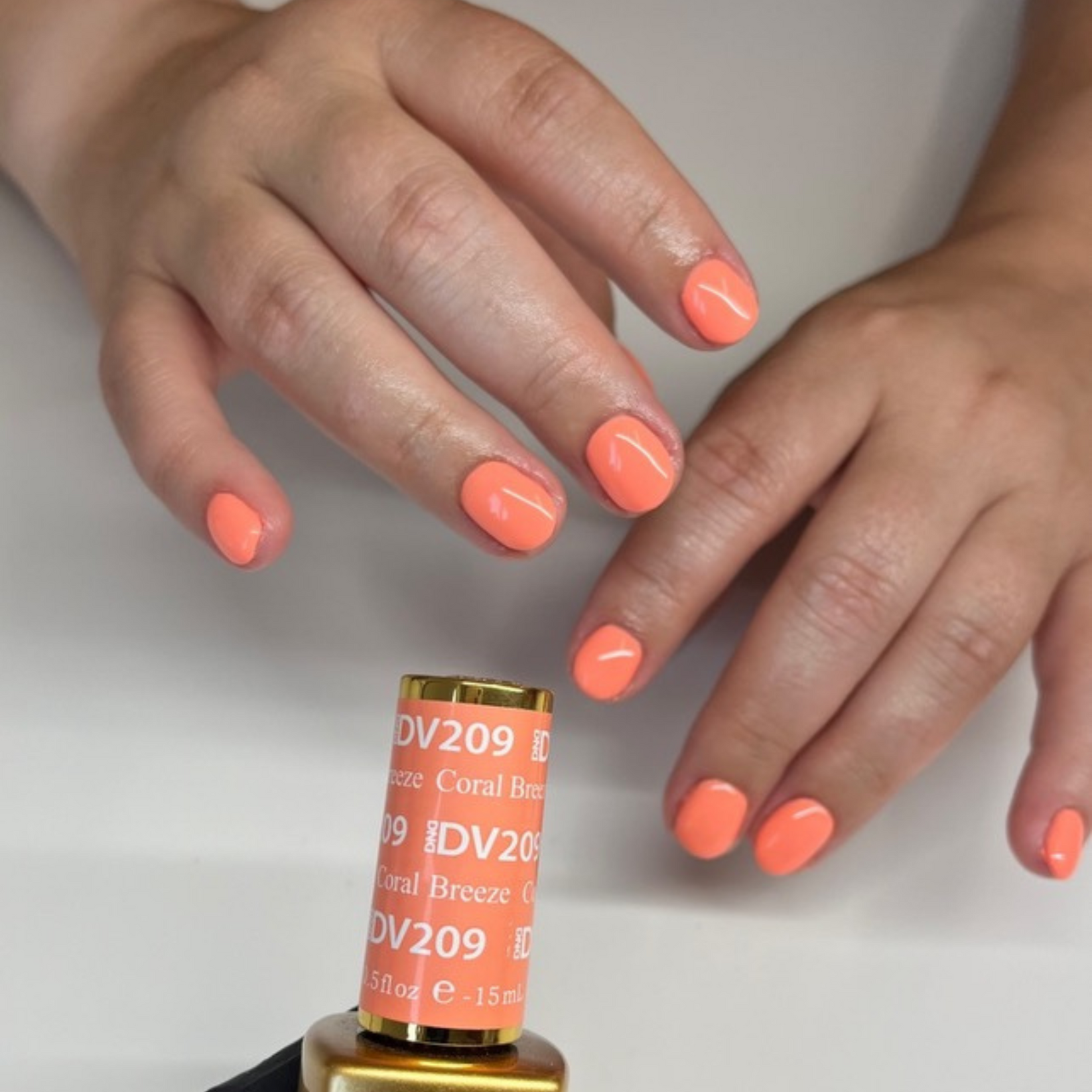 DND Diva Powder - 209 Coral Breeze