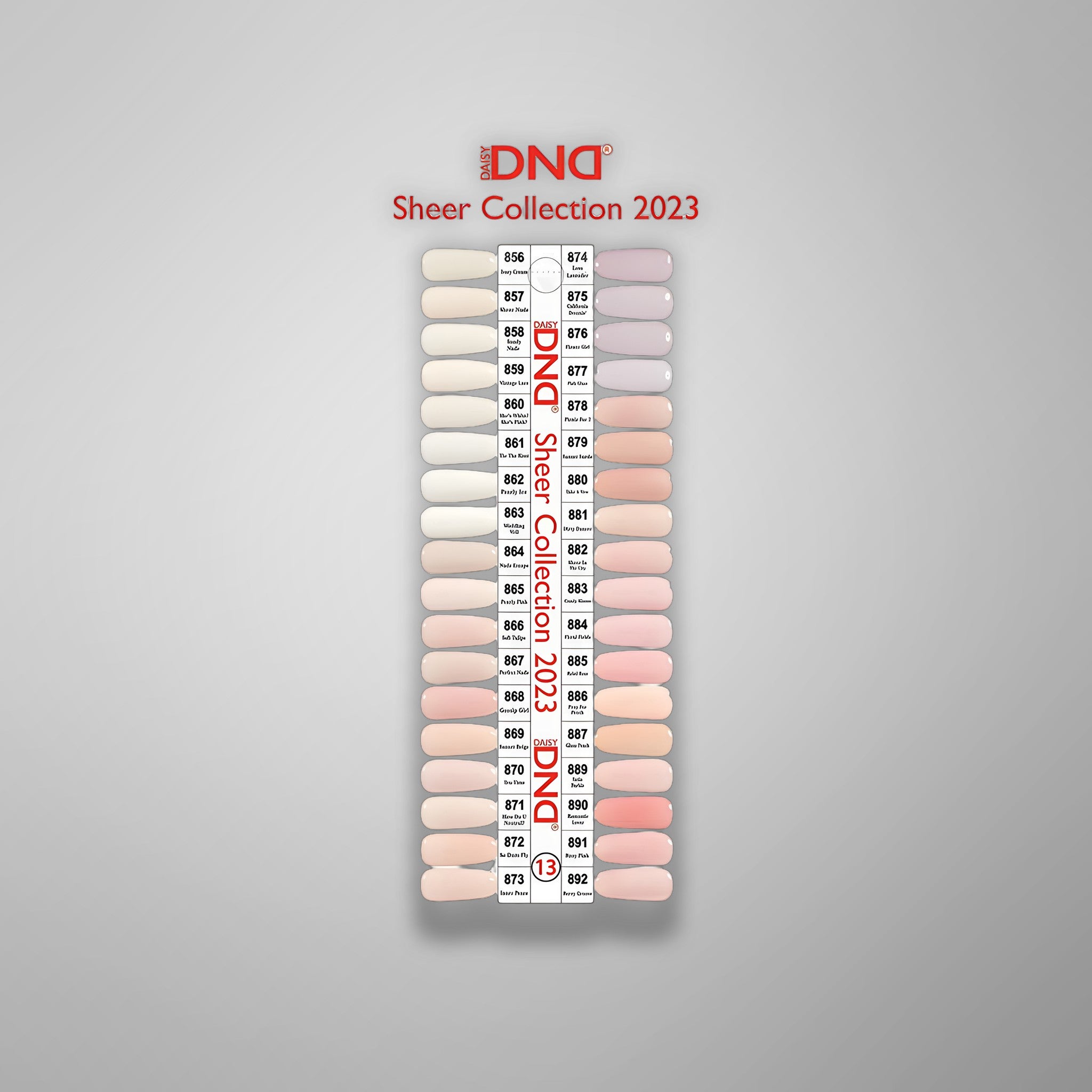 DND Sample Swatch 13