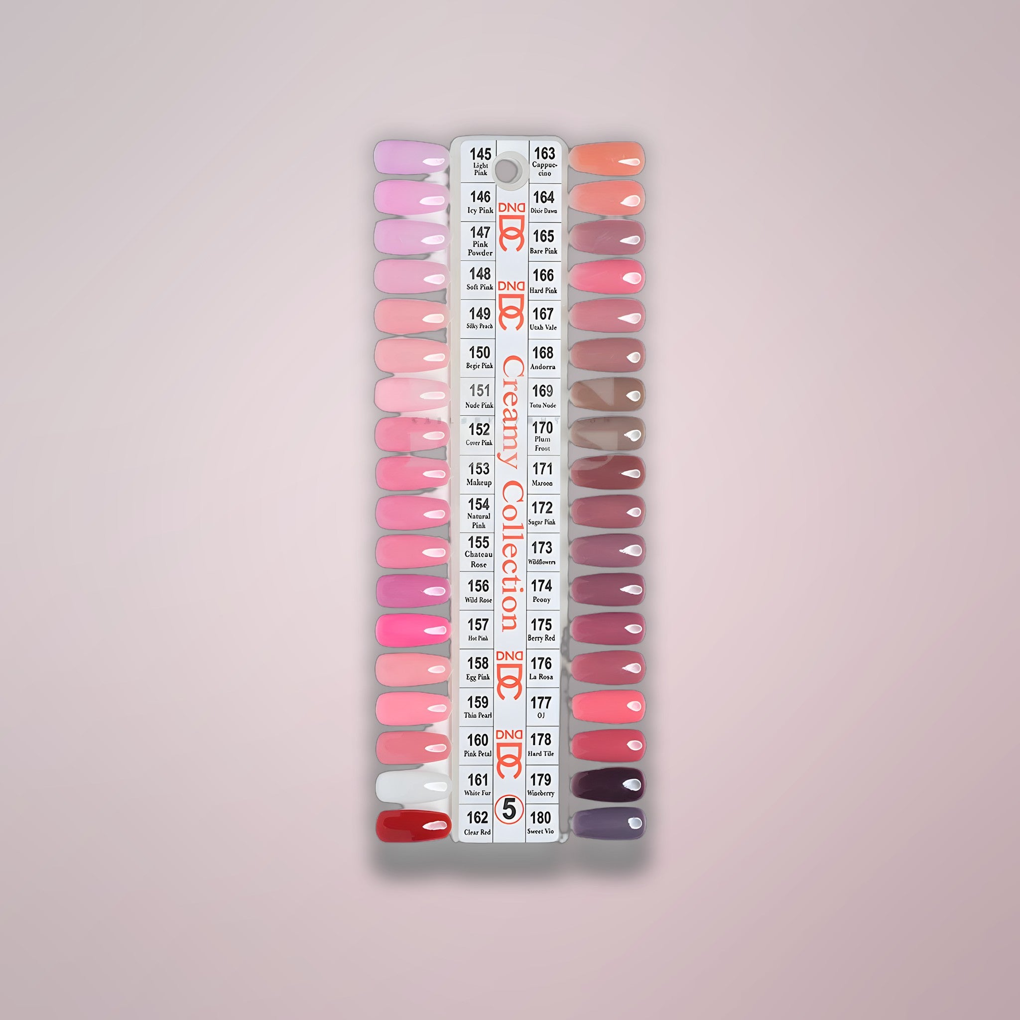 DND DC Sample Swatch 5