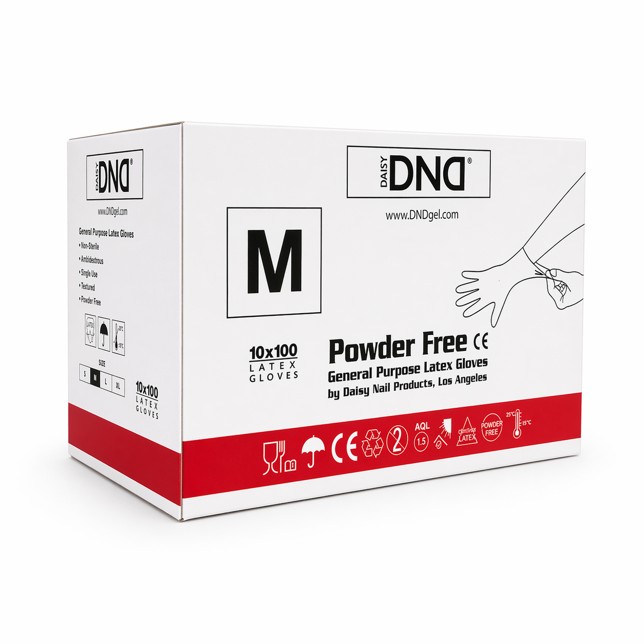 Dnd latex gloves 10/box - medium - gloves