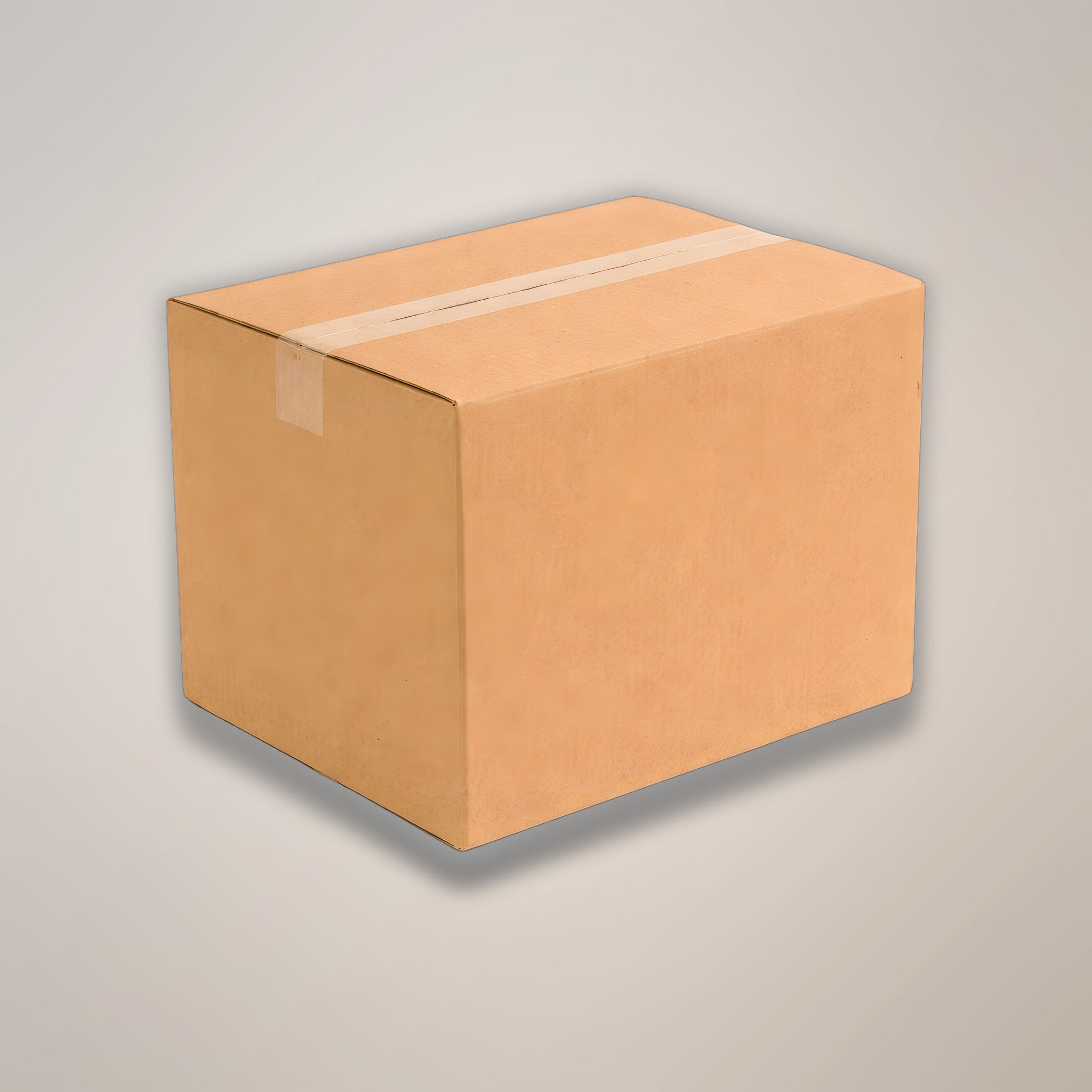 DND Tips Clear 1000-Packs/Case