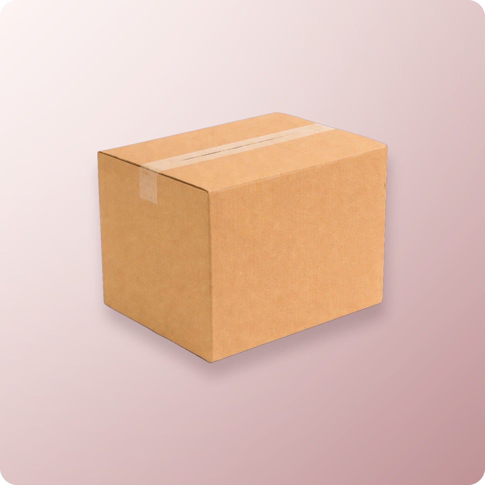USN Tips French II 1000-Packs/Case