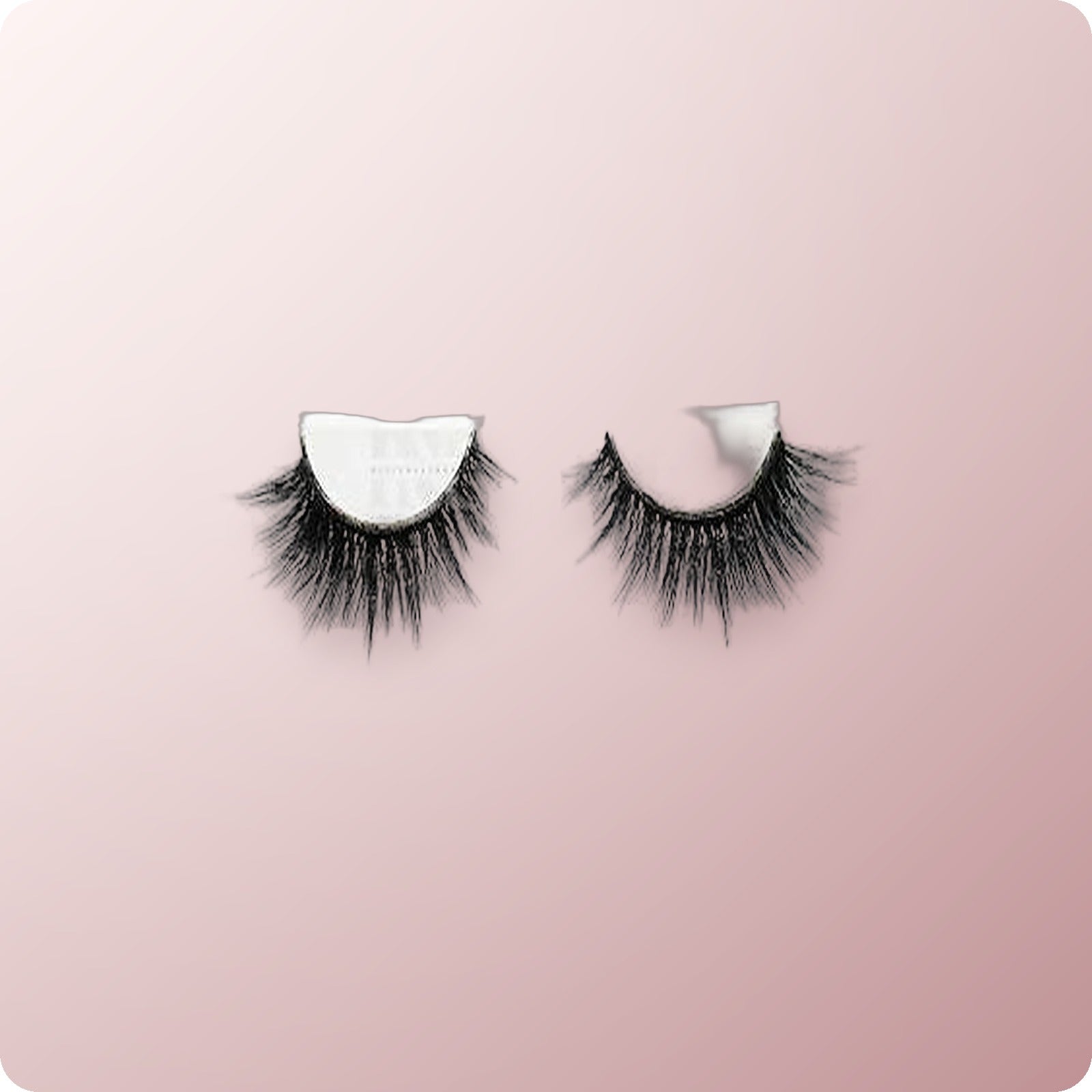 LASH COMPANY Strip Lash Cat Eye