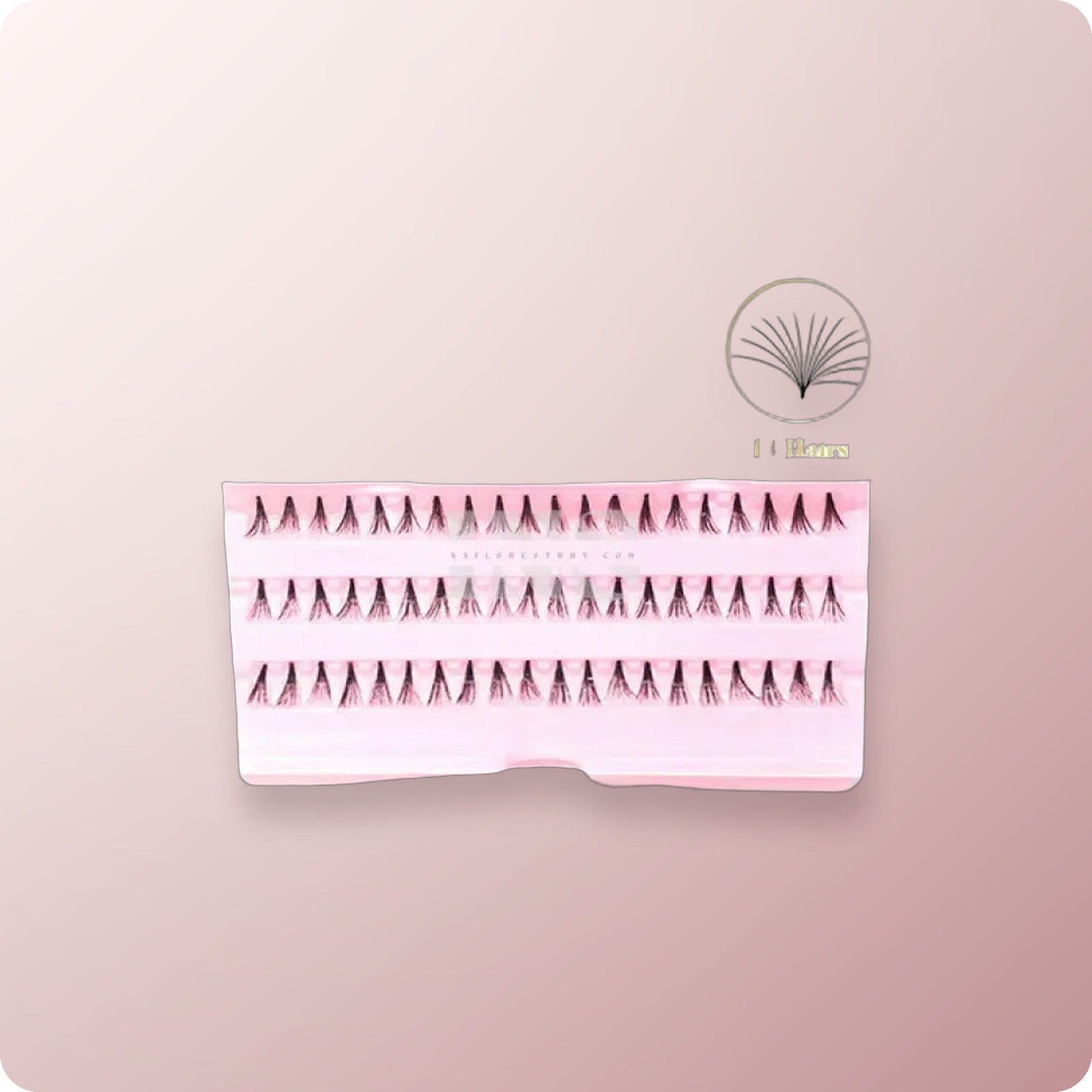 iLASH NATURAL 14 Hairs Knot Free Lashes MEDIUM 50 Trays/Box