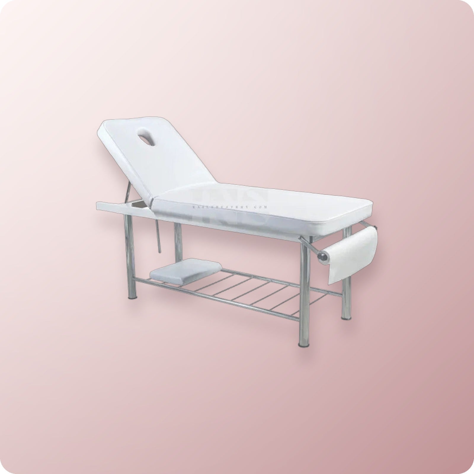 WHALE SPA FACIAL BED ZD-807