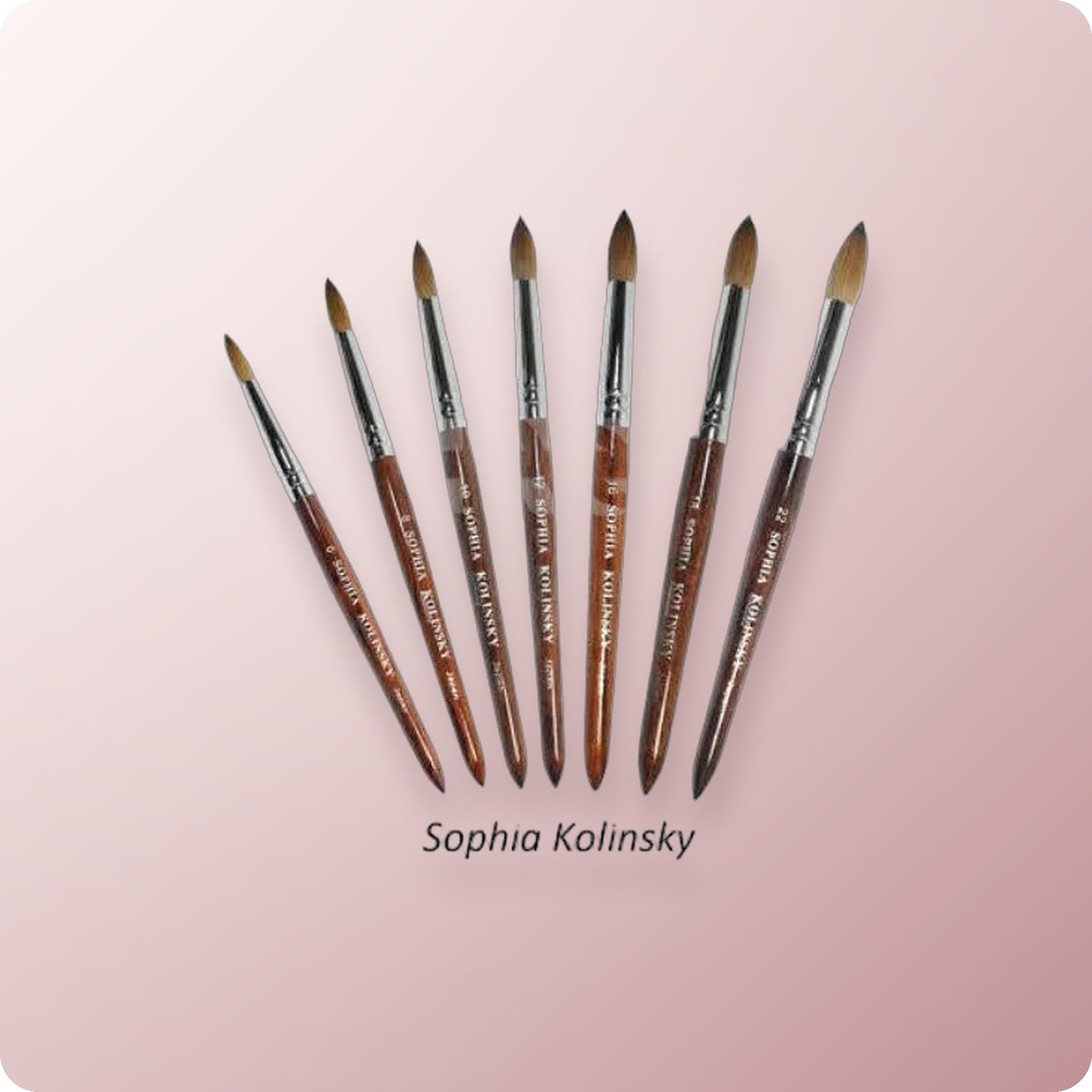 Sophia Kolinsky Brush Red Wood #16