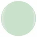 Gelish dip & brush - 085 mint chocolate - 1.5oz - acrylic