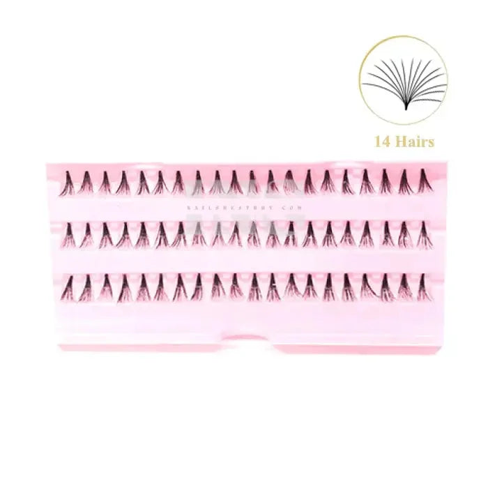 iLASH NATURAL 14 Hairs Knot Free Lashes LONG 40 Trays/Box -