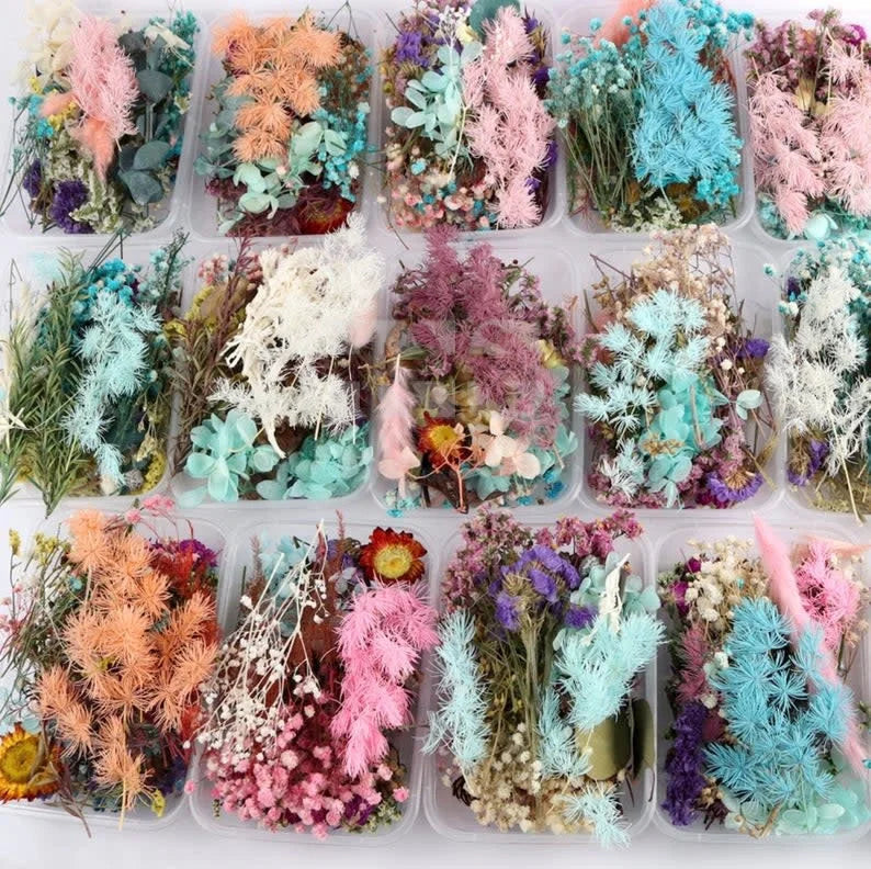 Nail Art Real Dried Flower - Nail Art Accessory