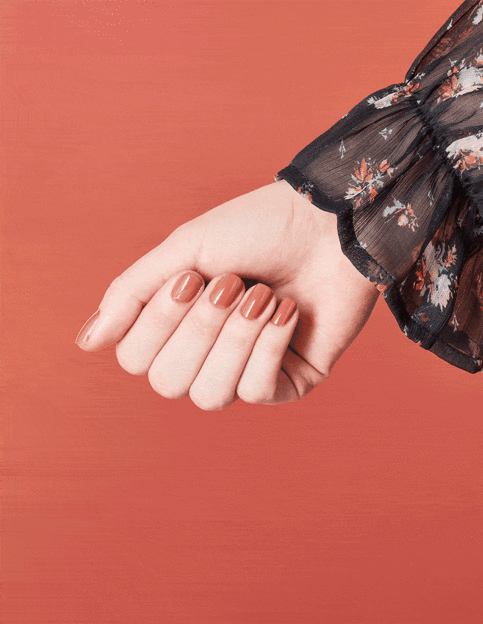 OPI Nail Lacquer - Canadian Fall 2004 - Chocolate Moose NL