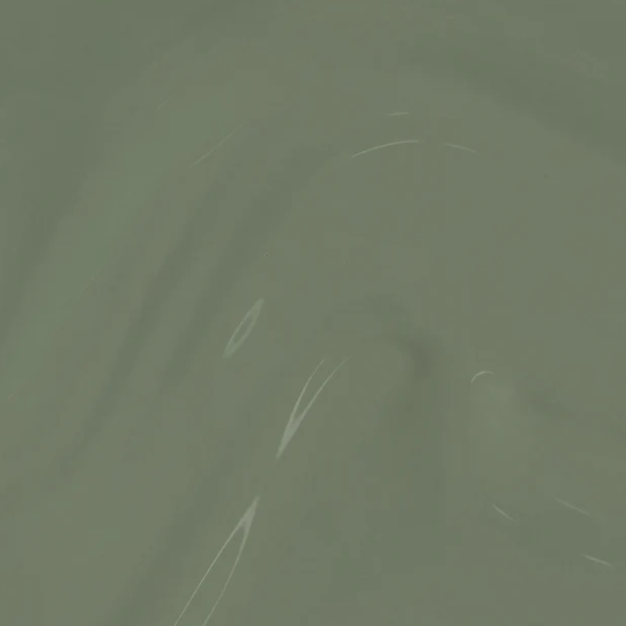 Opi nail polish - what’s your mani-tude? Fall 2025 - cargo