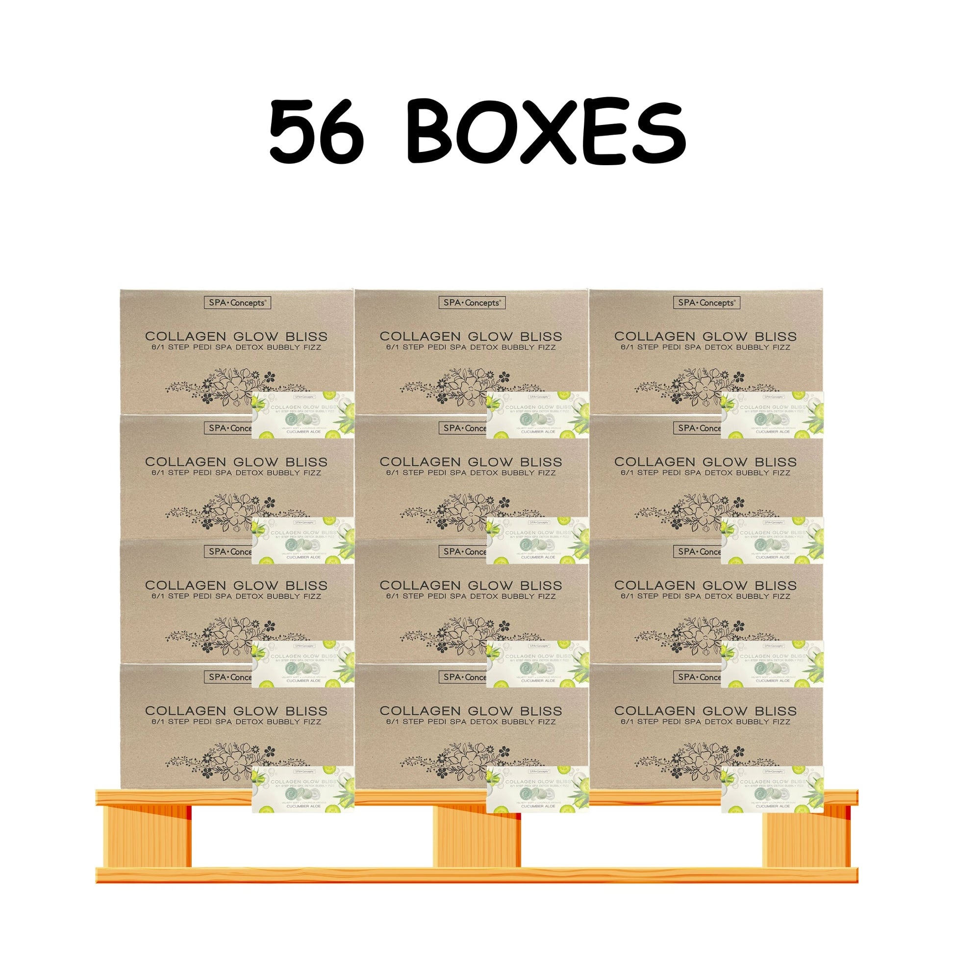 Spa concept 6 step pedicure 48/case - 56/case per pallet