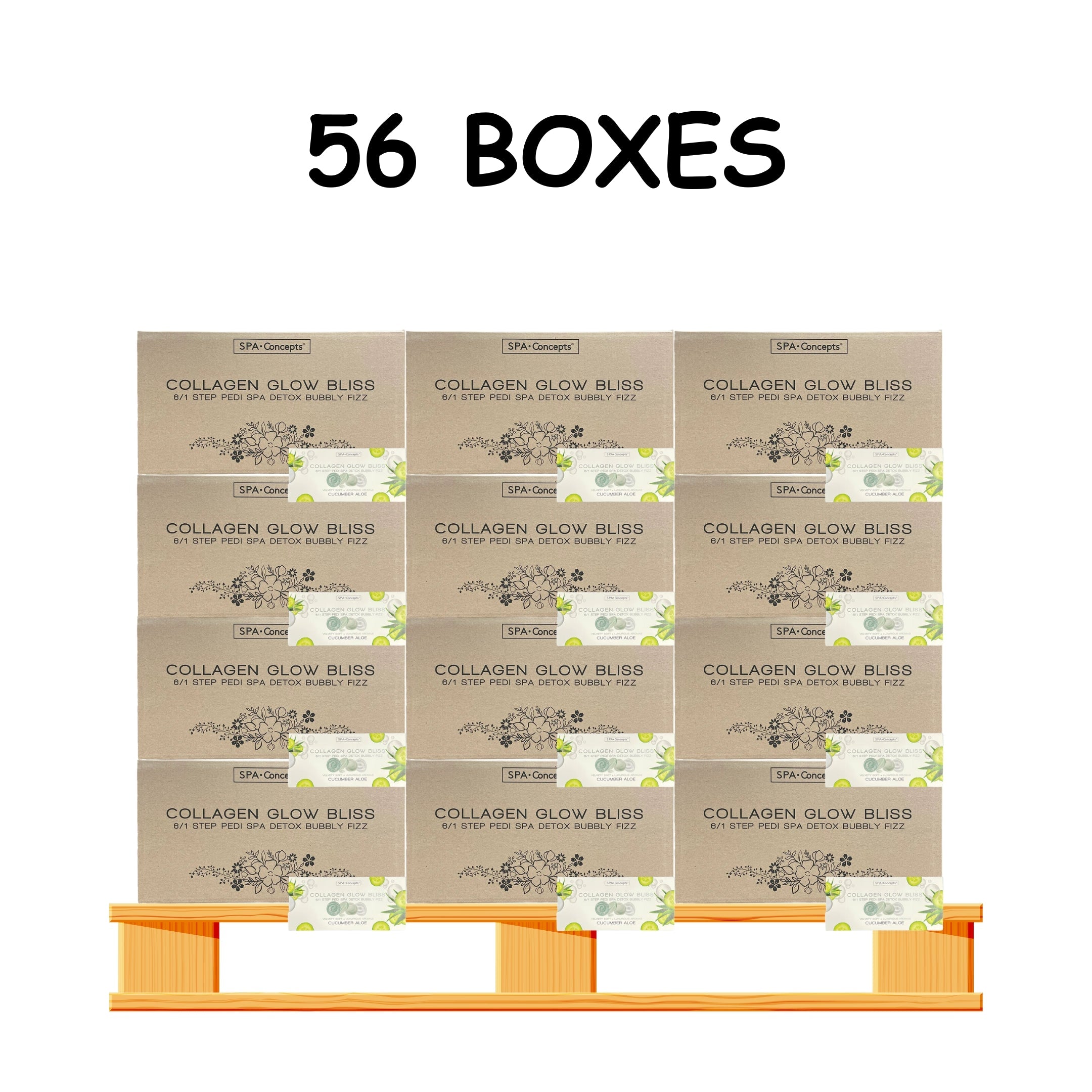 Spa concept 6 step pedicure 48/case - 56/case per pallet