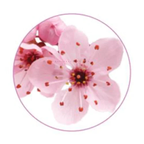 TRIPLE X Deluxe Premium 4 In 1 Pedi Spa Tray- Japanese Cherry Blossom 48/box