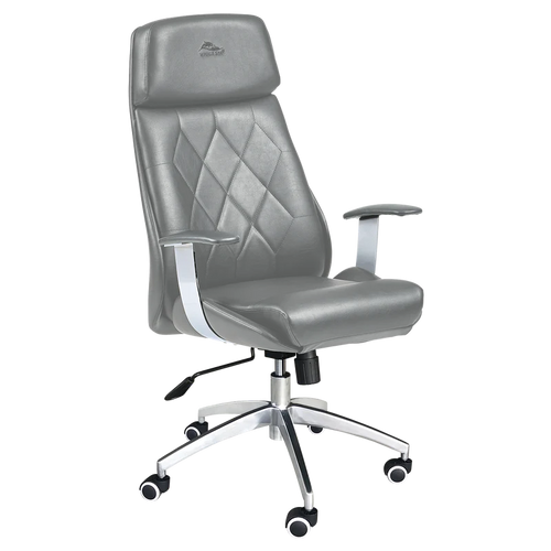 WHALE SPA CUSTOMER CHAIR DIAMOND 3309