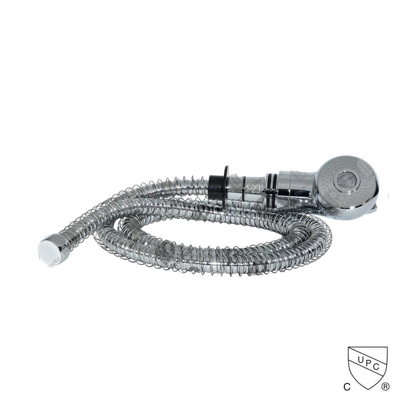 WHALESPA Shower Head With Hose
